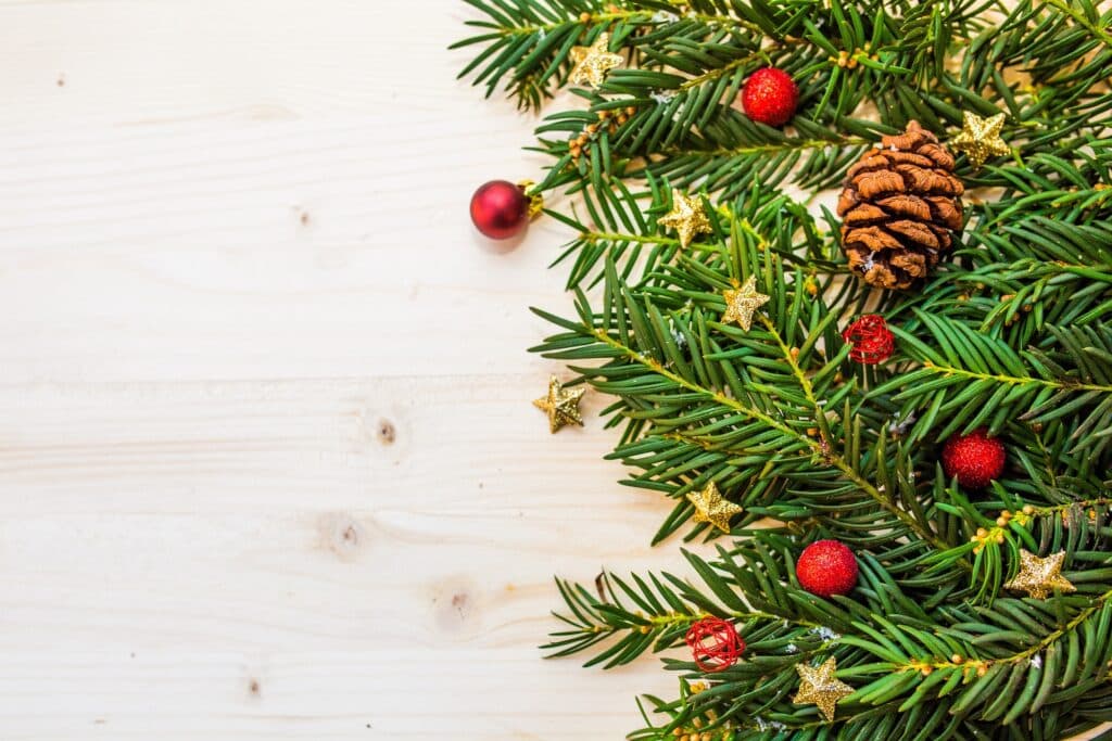 branche de sapin et décoration