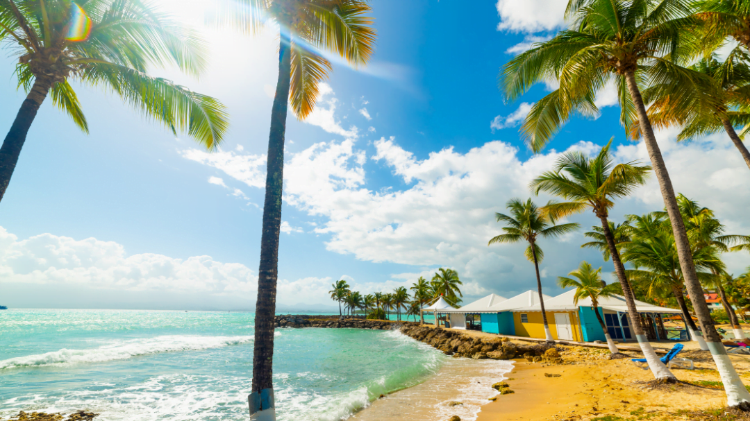 paysage plage Guadeloupe